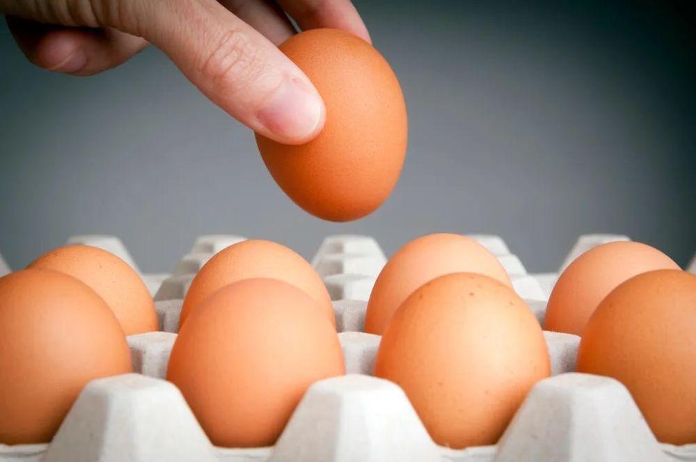 每天吃一个鸡蛋有什么好处？关于鸡蛋的4个常见误解！(图1)